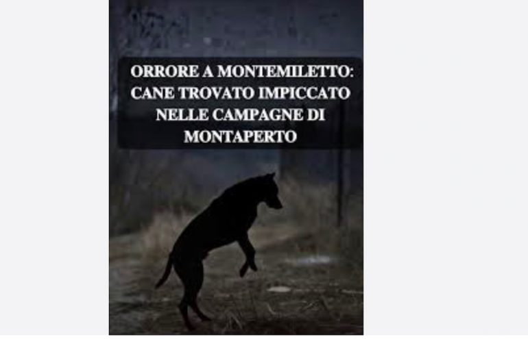 Nella foto, un particolare della vicenda.