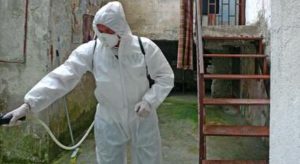 Napoli, al via il piano 2026 per disinfestazione e derattizzazione