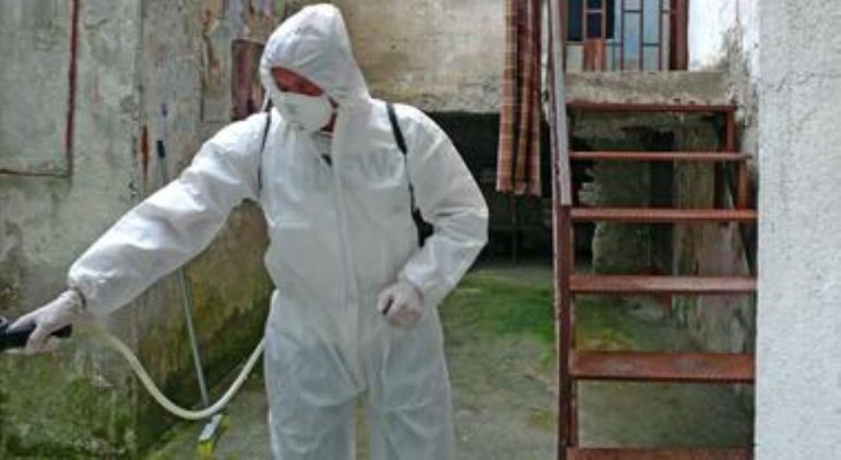 Napoli, al via il piano 2026 per disinfestazione e derattizzazione