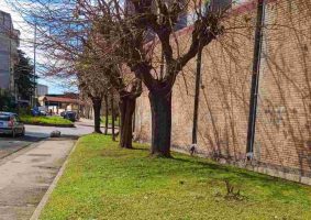 Napoli Est, al via la cura delle aree verdi nel Rione Villa a San Giovanni a Teduccio