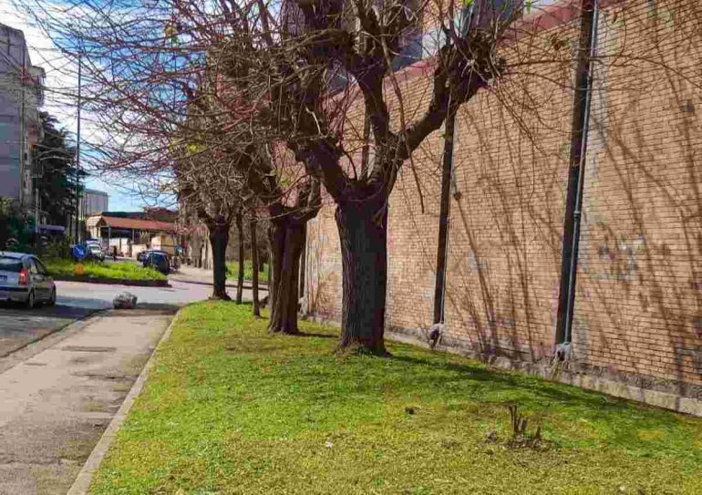 Napoli Est, al via la cura delle aree verdi nel Rione Villa a San Giovanni a Teduccio
