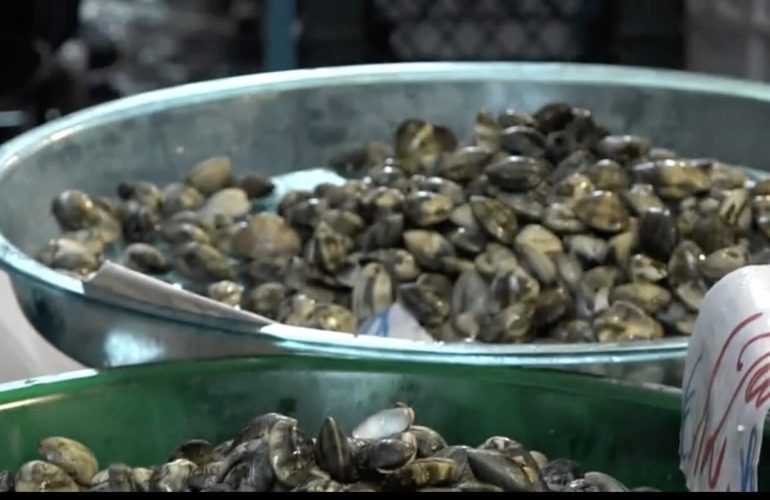 Epatite A a Napoli, 54 ricoverati al Cotugno: nessun caso grave