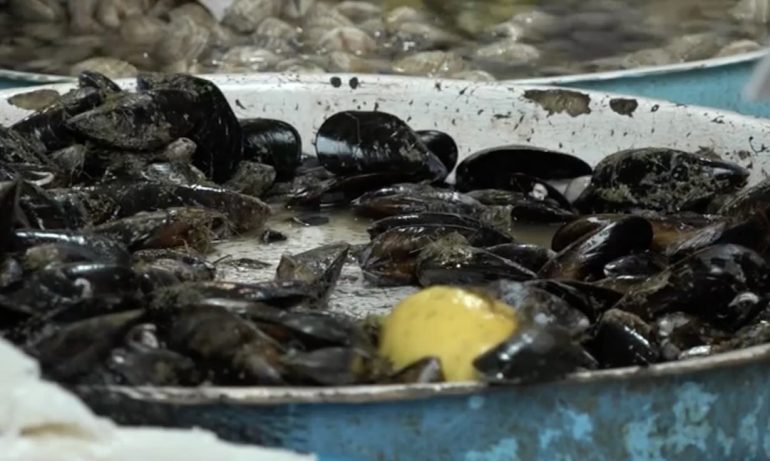 L’epatite A partita dai canali illegali di Varcaturo, Bacoli e Nisida