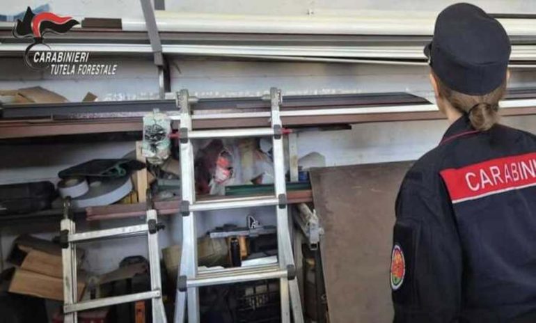 Avellino, sequestrata azienda siderurgica da un milione di euro: era totalmente abusiva