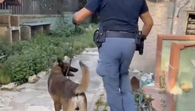 Blitz interforze al parco Verde: 300 persone nel mirino