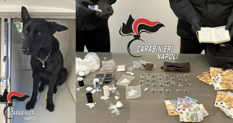 Castellammare, il fiuto di Thelma smaschera famiglia spacciatrice: arrestati padre, madre e figlia