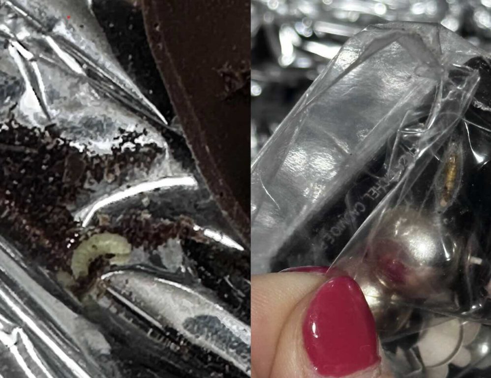 Cioccolato marcio e vermi nelle uova di Pasqua: studenti finiscono all’ospedale. Chiusa azienda in Irpinia