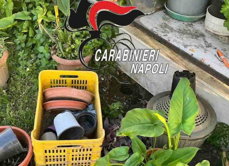 Nella foto, un particolare della vicenda.