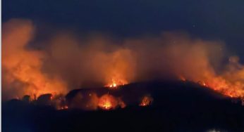 Ischia, incendio sul Monte Epomeo: scatta il piano di emergenza
