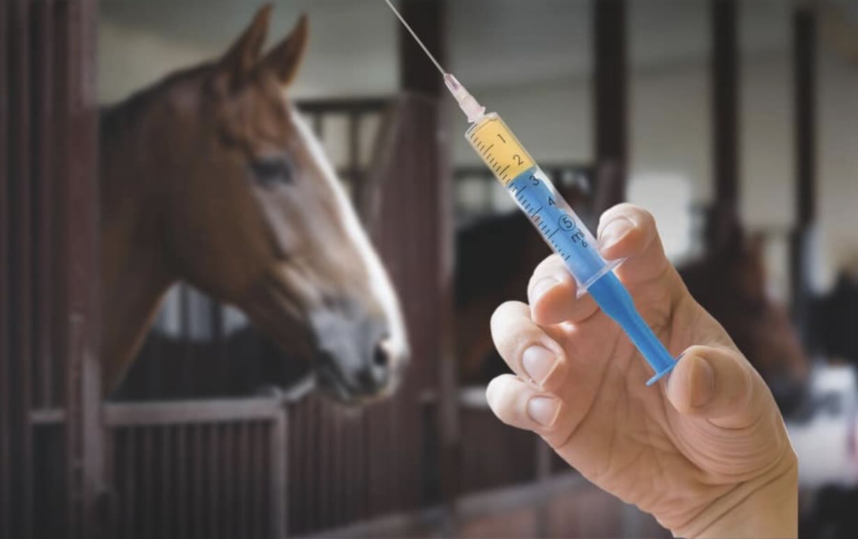 Doping sui cavalli a Napoli: l'ippodromo di Agnano si difende e alza la voce!