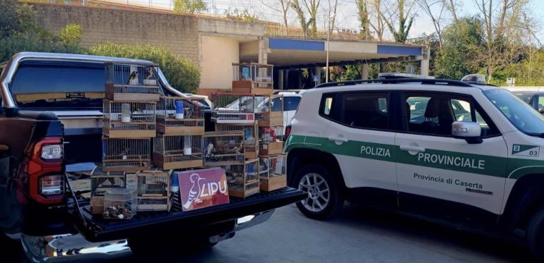 La polizia provinciale di Caserta