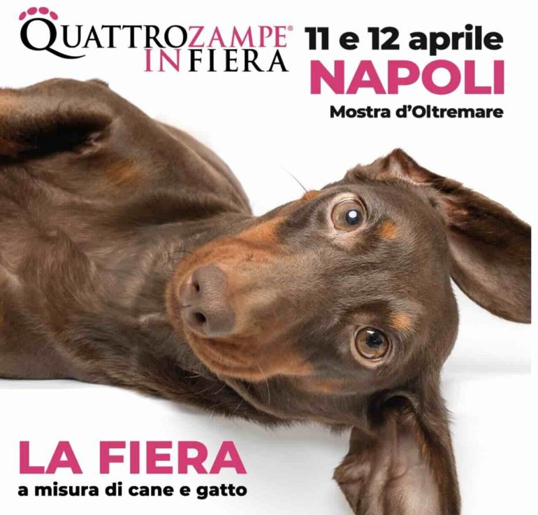 Quattrozampeinfiera Napoli 2026: un weekend indimenticabile per tutti gli amanti degli animali
