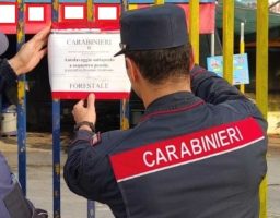 Trentola Ducenta, scarica rifiuti in strada ma viene filmato: denunciato 24enne