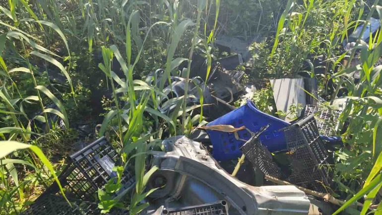 Auto smontate e abbandonate tra i canneti a Villa Literno: i volontari scoprono una nuova discarica abusiva