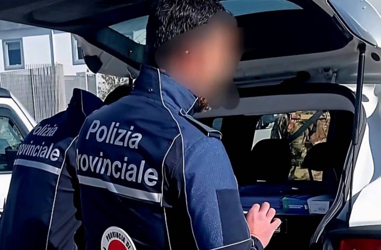 Aversa, abbandona una cagnolina di tre mesi in strada: investita e uccisa, l’uomo scoperto e denunciato