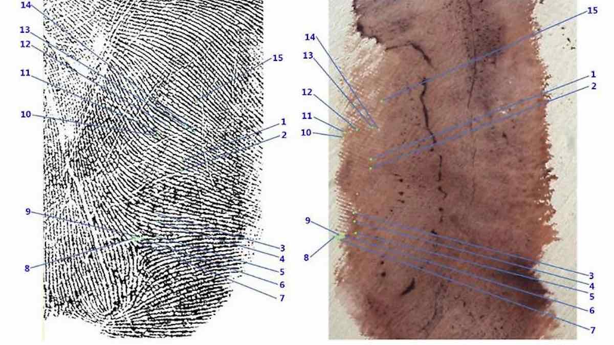 Garlasco, impronta misteriosa: il software della NASA svela il caos nelle perizie!