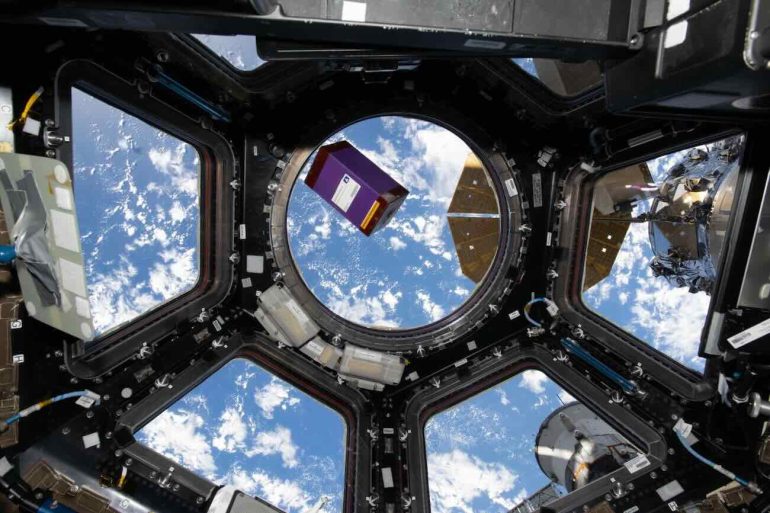 ORION 2, successo in orbita: concluso l’esperimento sulla fertilità femminile in microgravità