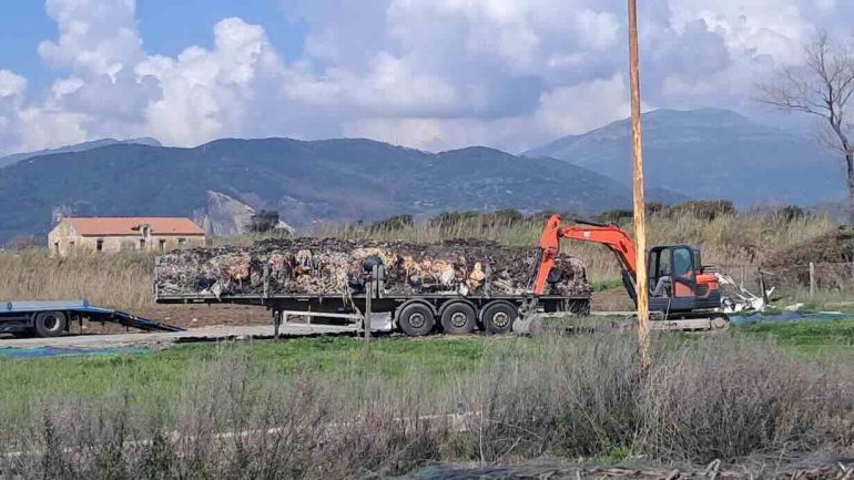 Pontecagnano, rimossi i «veleni» sulla litoranea: confermato l’allarme sanitario