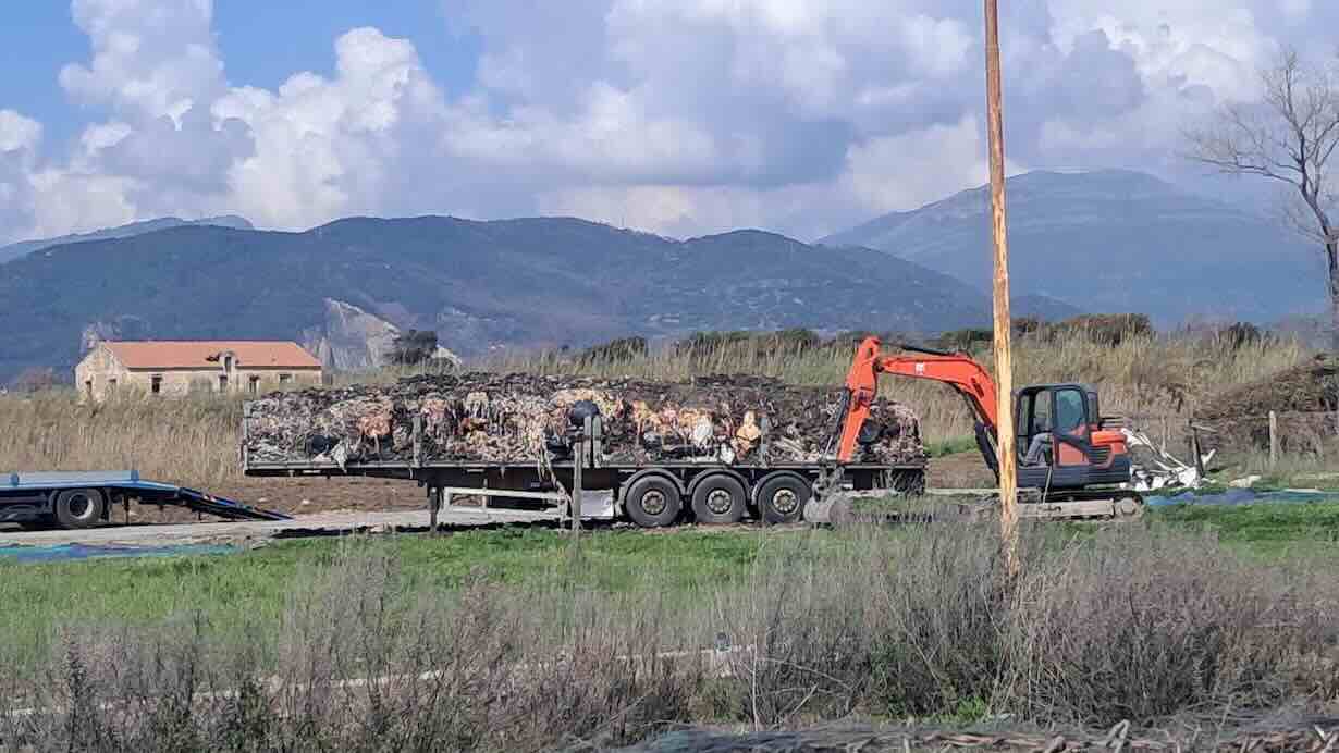 Pontecagnano: svelati i “veleni” sulla litoranea, l’allerta sanitaria cresce!