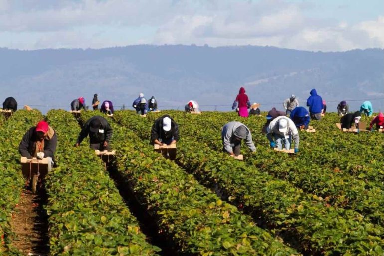 La Regione Campania vieta lavoro all’aperto nelle ore più calde per proteggere i lavoratori