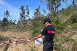 Cilento, sequestrati 30mila metri quadrati di bosco: due persone indagate