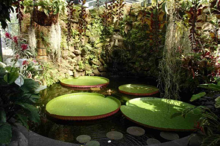 Giardini La Mortella, l’incanto di Ischia