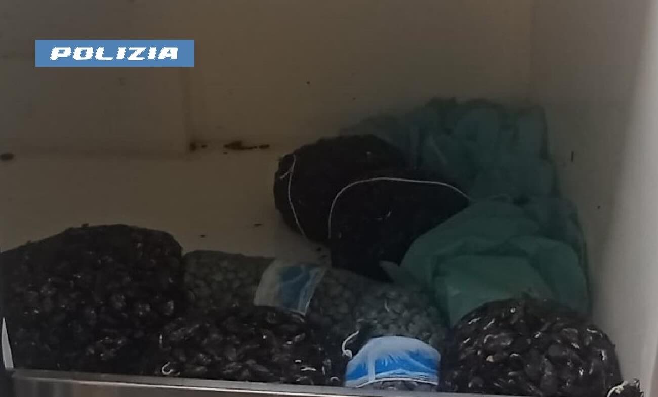 I molluschi sequestrati