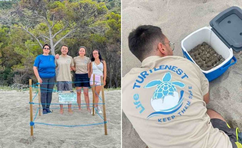 Nuovo nido di Caretta caretta a Marina di Camerota: scatta il piano di salvataggio per proteggere le uova
