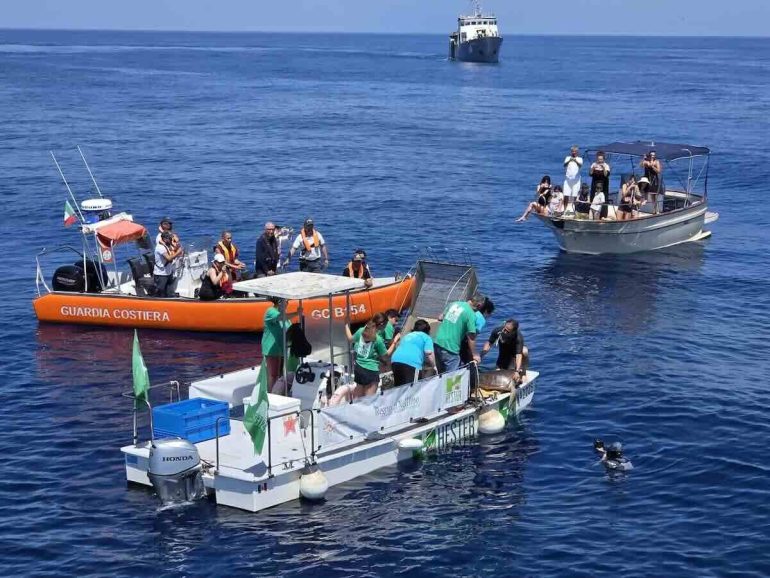 Regno di Nettuno, liberate le 5 tartarughe caretta-caretta