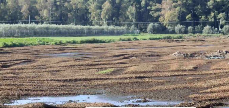 Sequestrato fondo agricolo a Eboli: denunciato il titolare per discarica abusiva