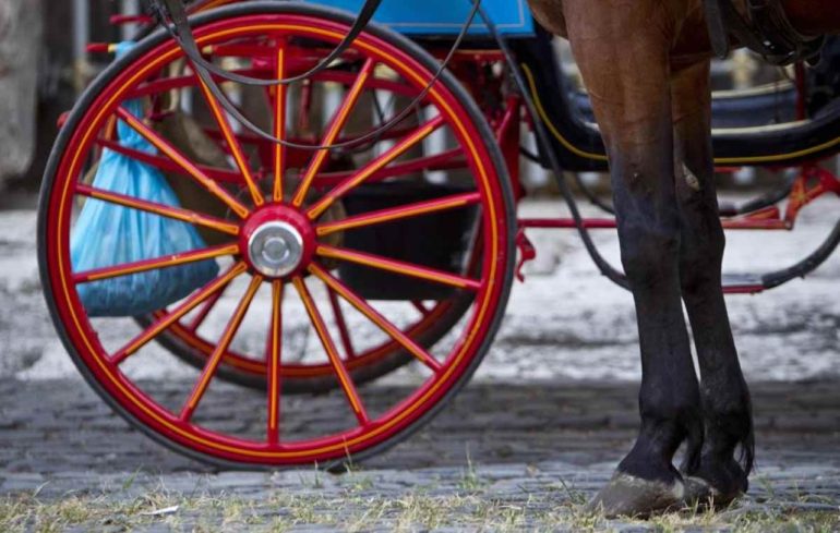 Sorrento, stop alle carrozzelle trainate da cavalli nelle ore più calde