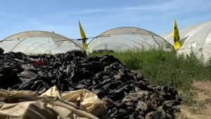 Terra dei Fuochi, via alla bonifica delle aziende agricole: l’accordo Coldiretti-Polieco parte da Teverola