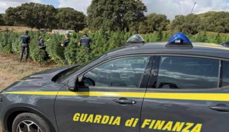 Traffico di droga sull’asse Spagna-Roma: affari anche a Caserta e Salerno. Scattano 12 arresti