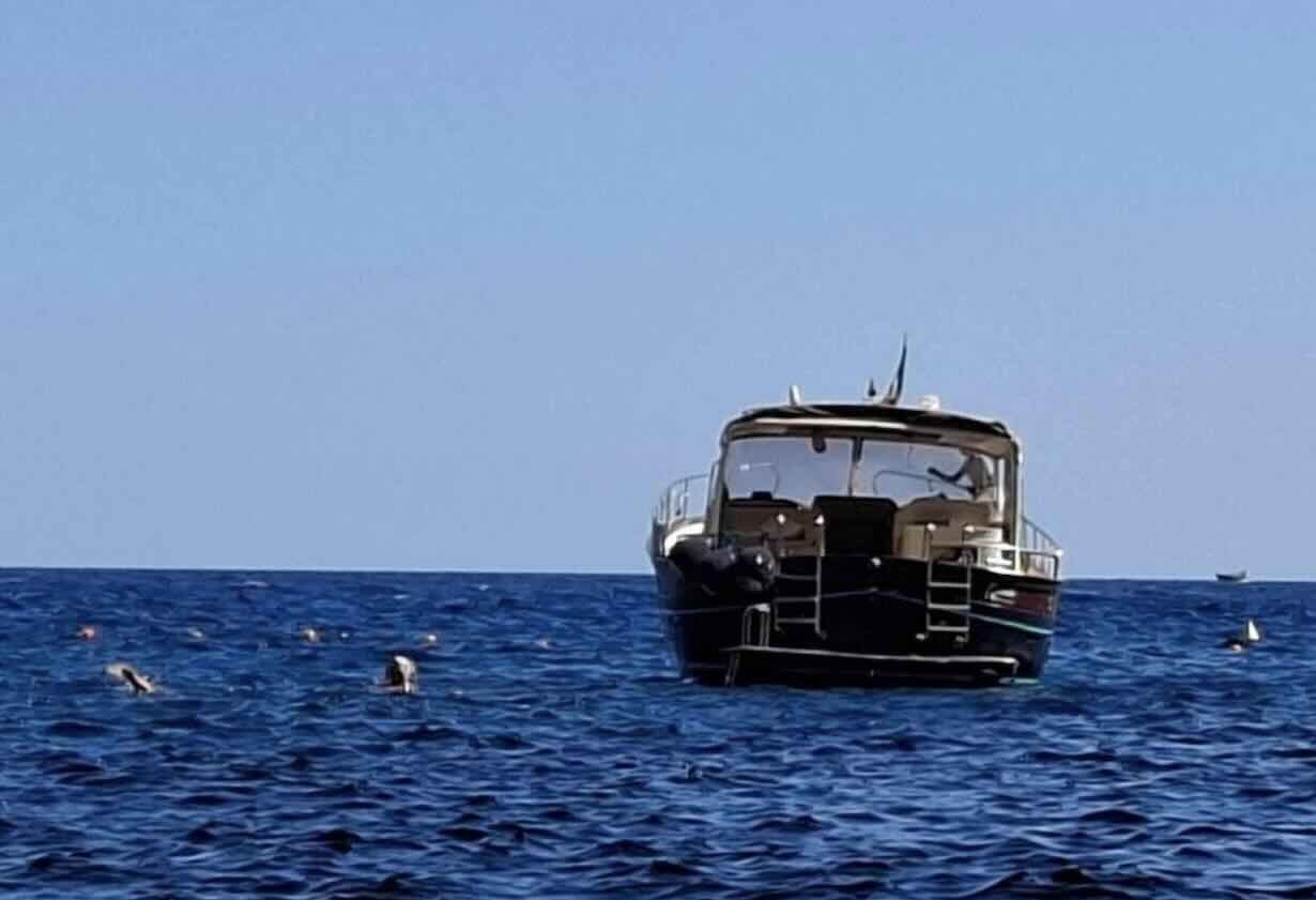 La barca entrata nel parco