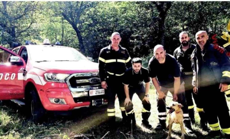 Cane finisce in una gola nell’Avellinese: salvato dai Vigili del Fuoco con l’elicottero