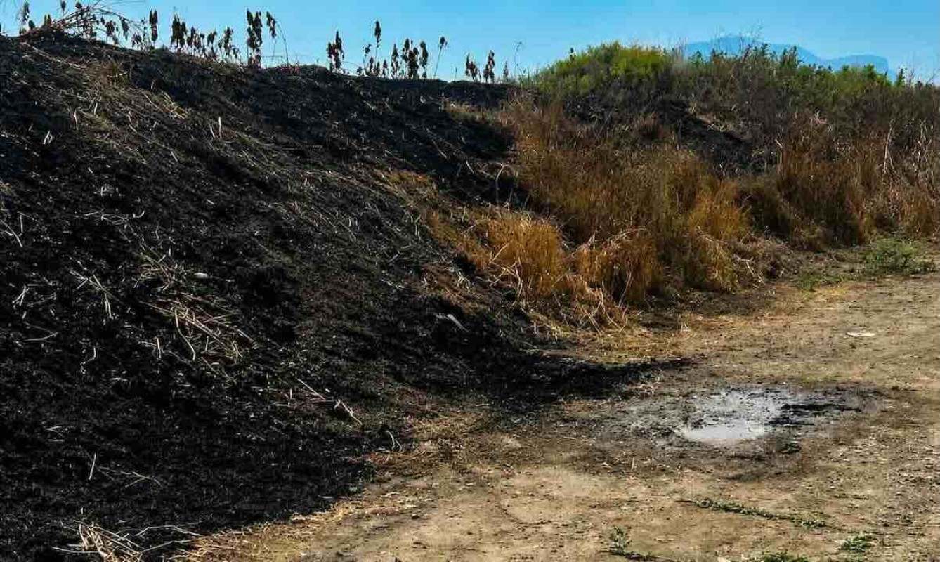 Il luogo del ritrovamento del cadavere