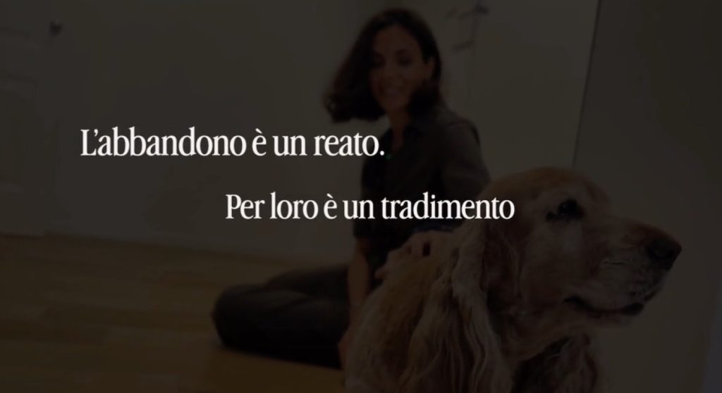 Polizia di Stato, nuovo spot contro l’abbandono degli animali in estate