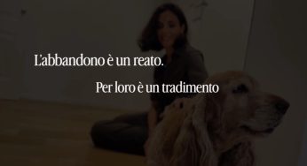 Polizia di Stato, nuovo spot contro l’abbandono degli animali in estate
