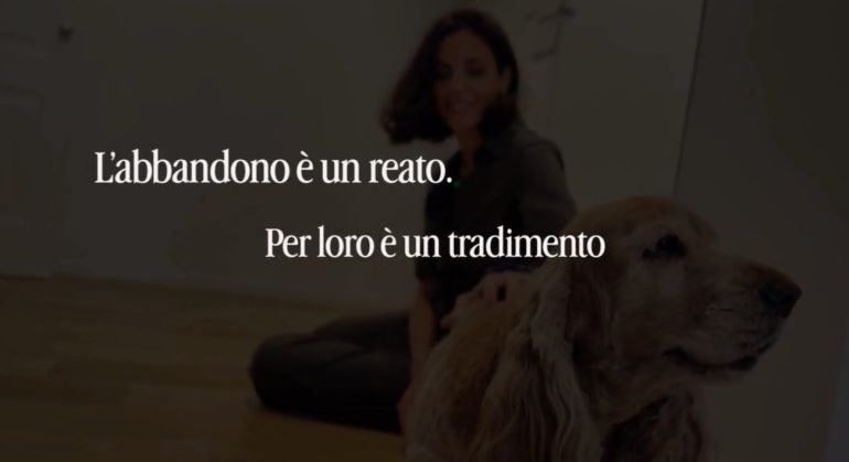 Polizia di Stato, nuovo spot contro l’abbandono degli animali in estate