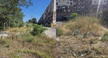 Rioni ERP a Napoli in stato di emergenza: verde abbandonato