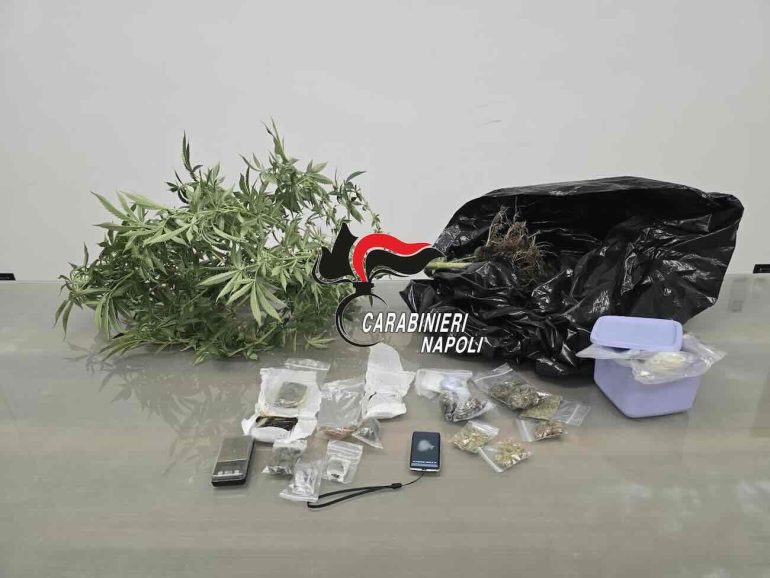 Santa Maria La Carità, dal produttore al consumatore: arrestato pusher incensurato «col pollice verde»