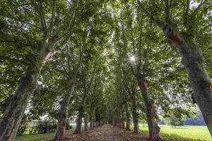 Scafati, riapre il Parco del Real Polverificio Borbonico: il 28 luglio l’inaugurazione