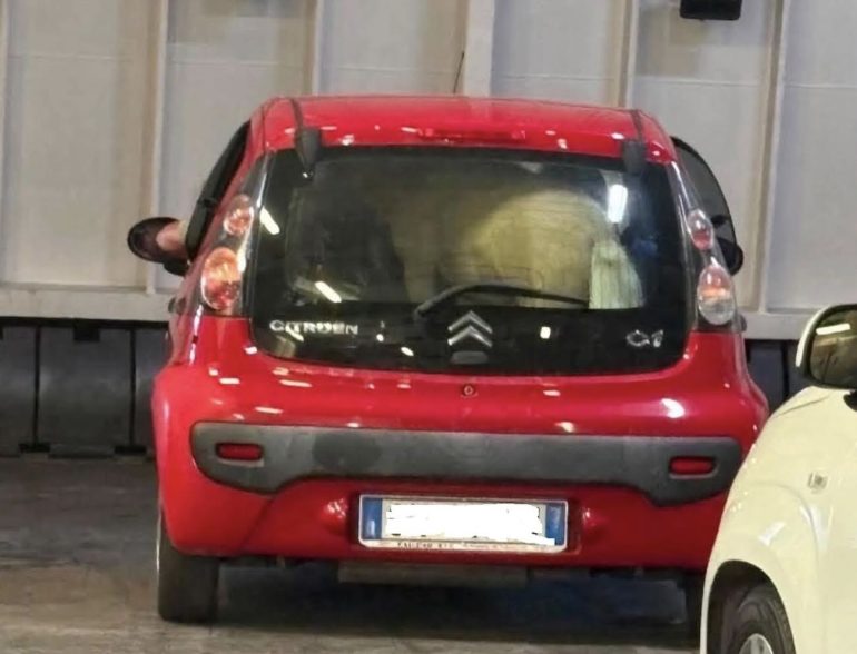 Un pony chiuso nel bagagliaio della C1: choc sul traghetto per Ischia