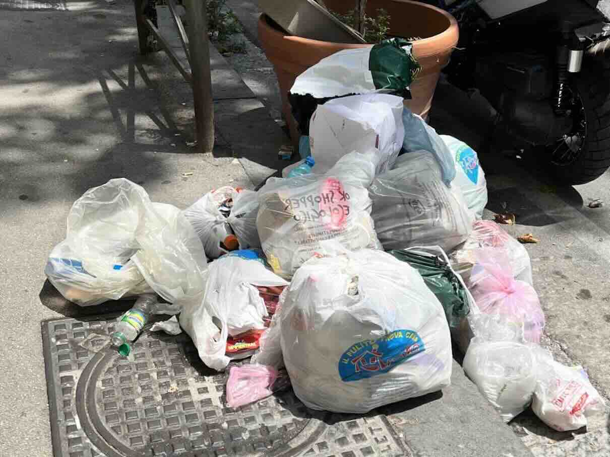Vomero e Arenella sotto assedio: l'emergenza blatte mette a rischio la salute pubblica
