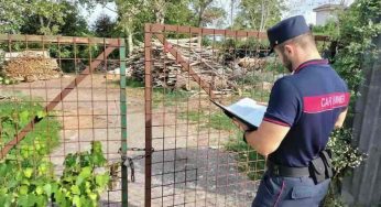 Aversa, scoperta segheria abusiva con rifiuti abbandonati: scatta il sequestro