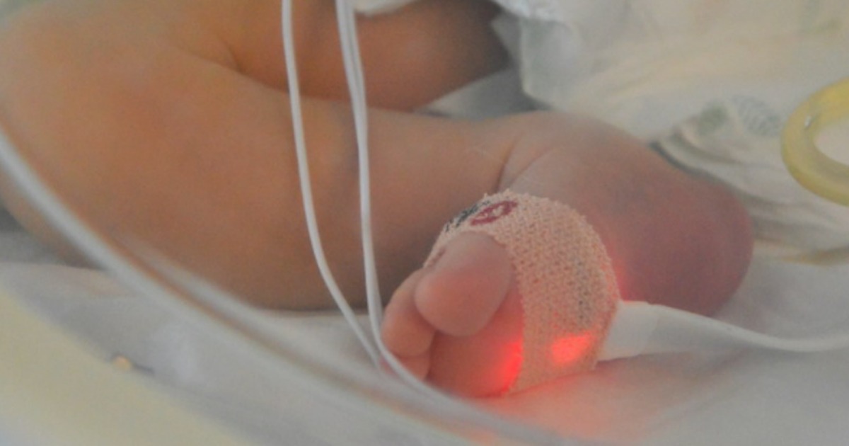Bimba di 5 mesi rapita dalla casa-famiglia: è caccia ai responsabili