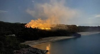 Camerota, incendio sul monte Bulgheria, bruciati ettari di macchia mediterranea