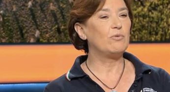 Campi Flegrei, Pappalardo (Ingv): «Nessun segnale di magma in salita»