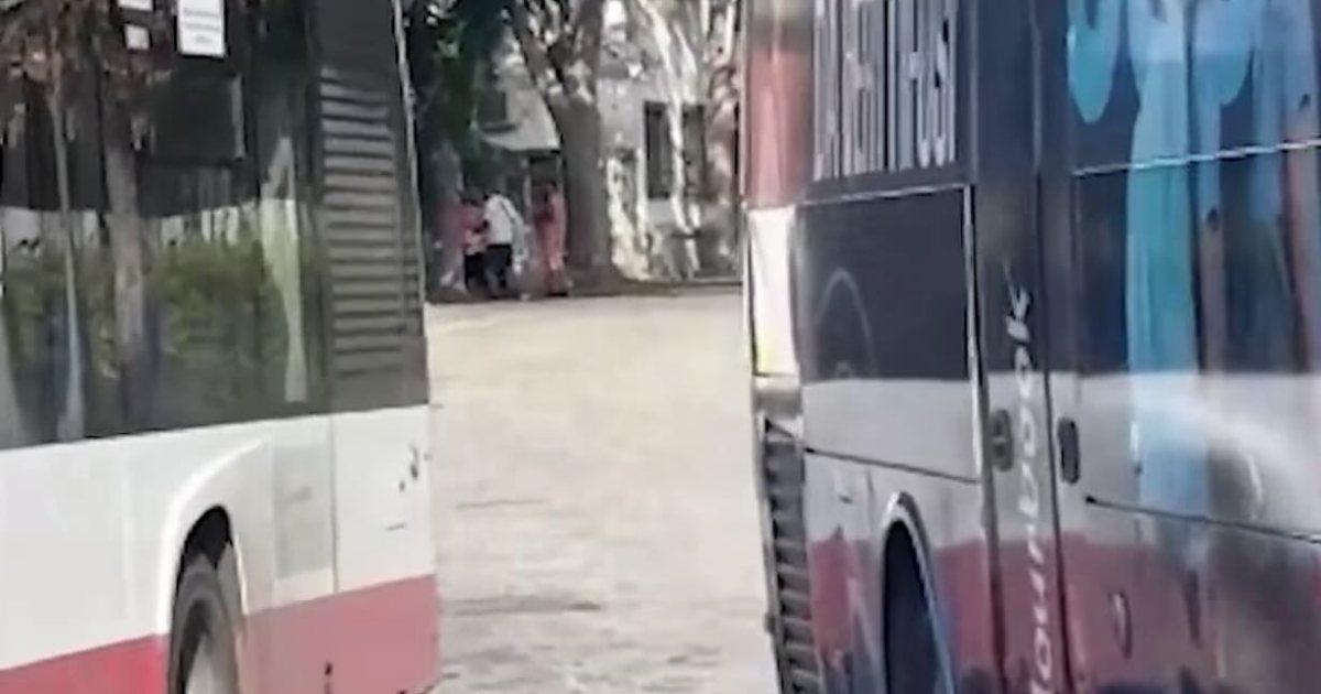 Caserta, autisti Air Campania sotto la minaccia dei parcheggiatori abusivi alla Reggia: richiesta di intervento urgente