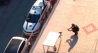 Casoria, cane lasciato sul terrazzo sotto il sole: muore di stenti